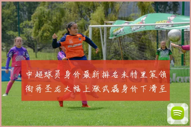 中超球员身价最新排名米特里策领衔蒋圣龙大幅上涨武磊身价下滑至50万