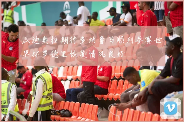 瓜迪奥拉期待多纳鲁马顺利参赛世界杯罗德里恢复情况良好